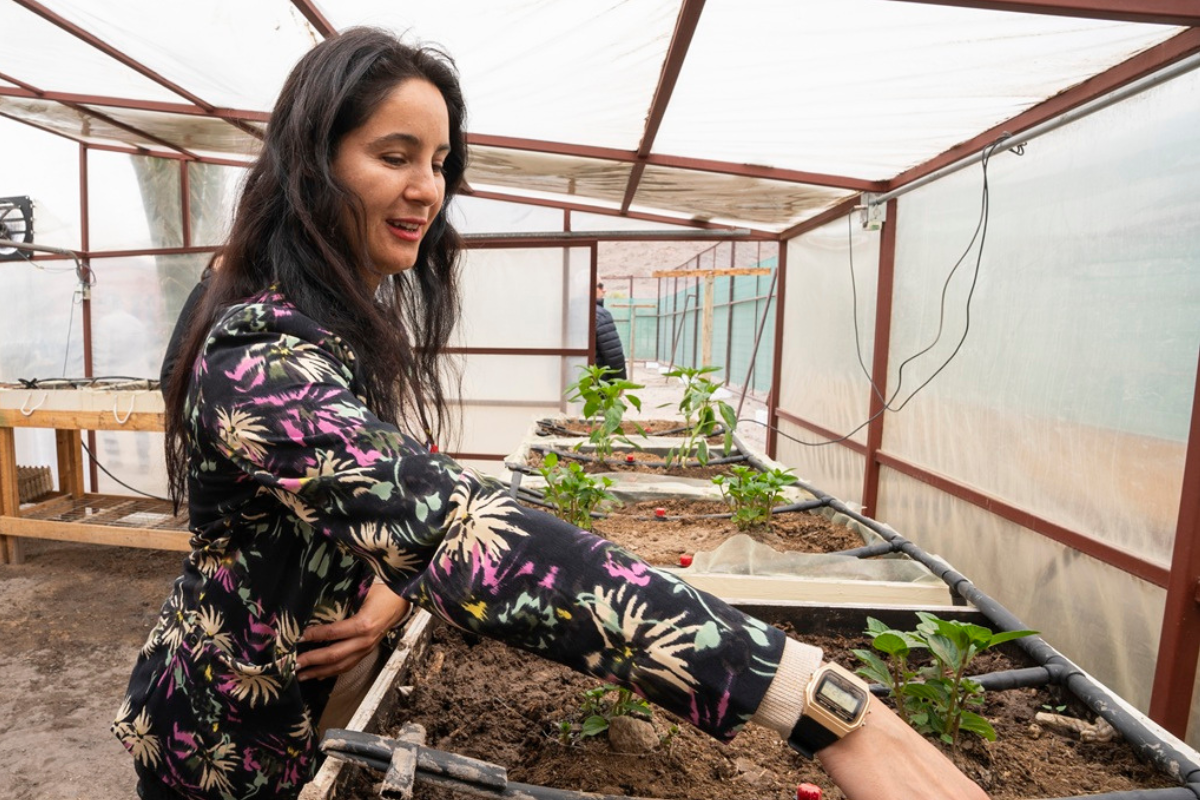 Salesianos Copiapó inaugura invernadero solar automatizado